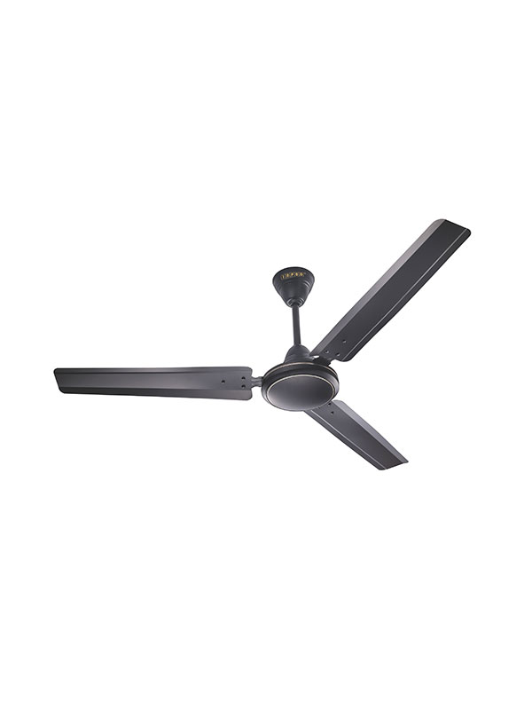ceiling-fans